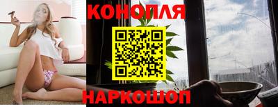 гашик Гусев