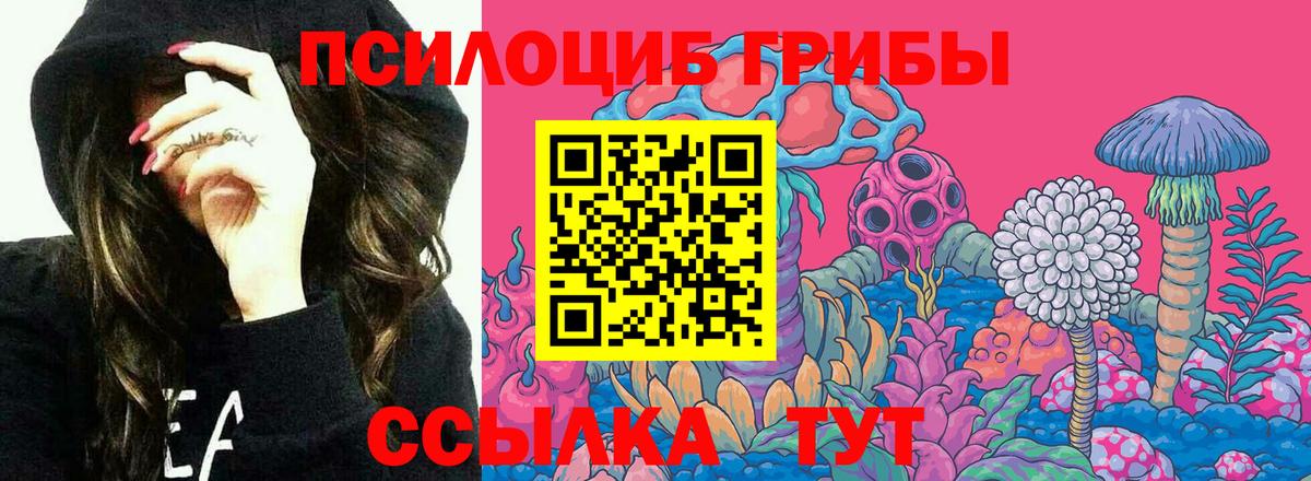 Галлюциногенные грибы мицелий Шелехов